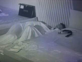 Big Brother Naija housemate, Sultana allegedly performs ‘0ral s3x’ on Jason Jae